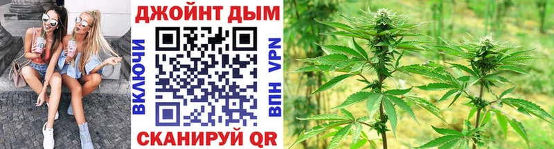 Купить где  Урай  Конопля гибрид 